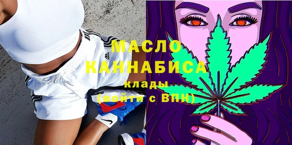 твердый Дмитриев