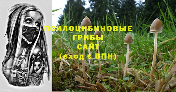 молекула духа Дмитровск