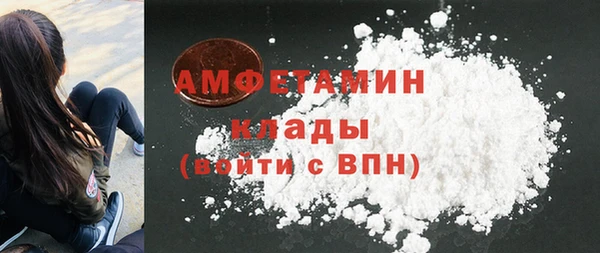 твердый Дмитриев