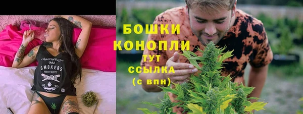 молекула духа Дмитровск