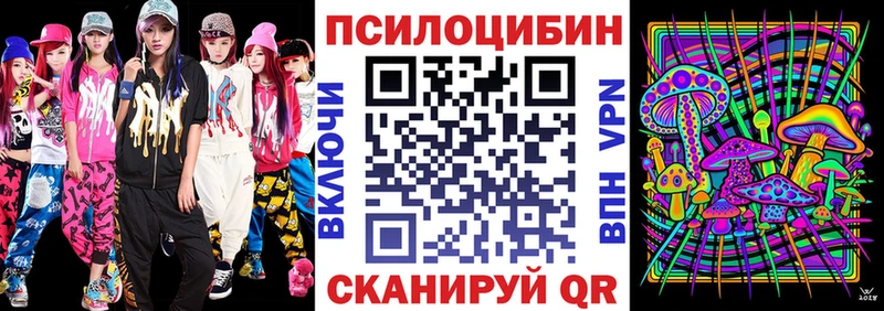 Псилоцибиновые грибы Psilocybe  kraken   Шарья 